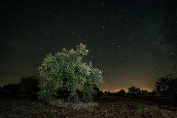 Fototapeta na wymiar Atardecer , fotografia nocturna y paisajes de Extremadura