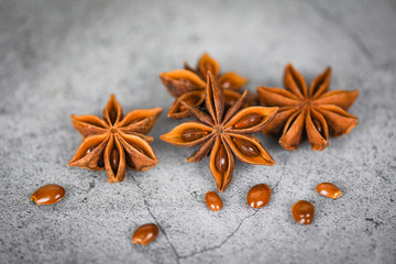 Star Anise on dark background herbs and spices for cooking food - Fresh anise star seeds