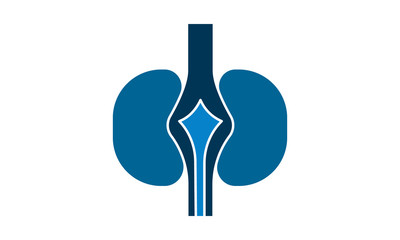 Kidneys icon. High quality logo for web site design and mobile apps. Vector illustration on a white background.