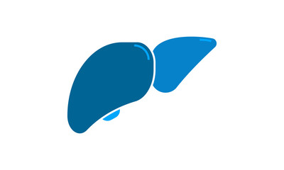 Liver vector isolated flat illustration. Liver icon