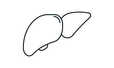 Liver icon for medical and healthcare purposes