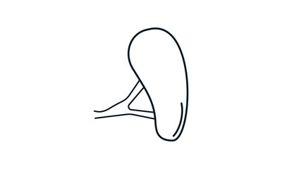 Spleen icon for body anatomy and medical use