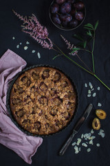 Almond Plum Cake on dark background
