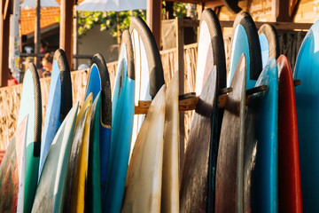 Set of colorful surfboard for rent on the beach. Multicolored surf boards different sizes and colors surfing boards on stand, surfboards rental place