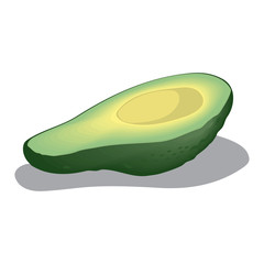 Textured vector illustration of a cutted avocado without pit, slice, and wedge