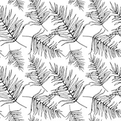 Leaf pattern. Seamless vector backdrop. Hand drawn tropical palm leaves on white background. Sketch style. Black on white