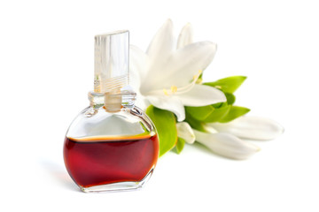 Agave amica or tuberose essential oil in perfume bottle isolated on white background