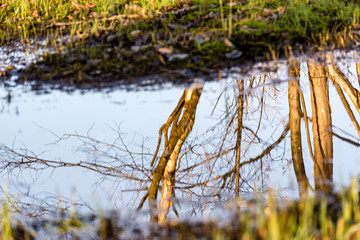 Autumn pictures with reflections in the water in autumn light