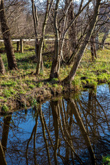 Autumn pictures with reflections in the water in autumn light