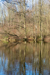 Obraz premium Autumn pictures with reflections in the water in autumn light