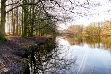 Obraz premium Autumn pictures with reflections in the water in autumn light