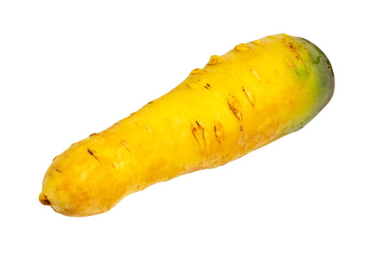 fresh organic central asian yellow carrot cut out