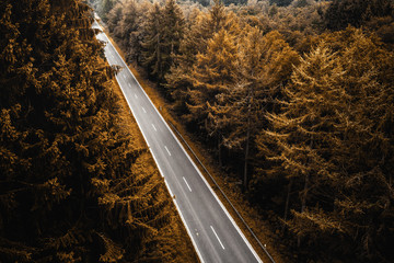 Gerade Straße durch dicht bewachsenen Wald in Nordrhein Westfalen Herbstmotiv