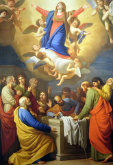 Altarpiece depicting Assumption of the Virgin Mary, work by Stefano Tofanelliin Cathedral of...