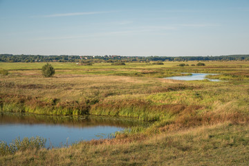 Backwaters of the Narew River near the village of Wizna, Podlaskie, Poland