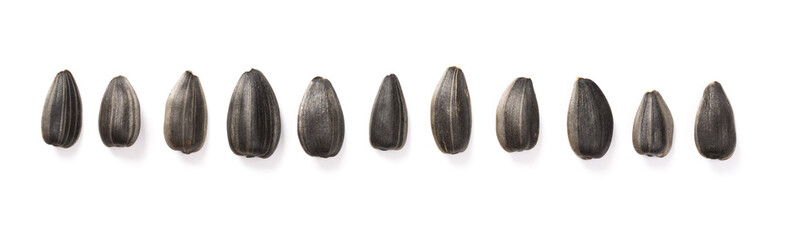 Collection of black sunflower seeds isolated on white, clipping path