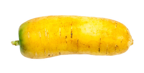 fresh organic uzbek yellow carrot isolated
