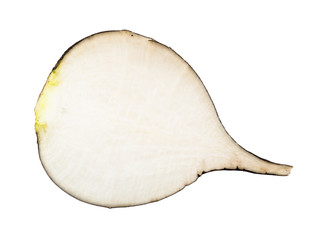 half of ripe black radish taproot isolated