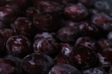 Fresh juicy black plums underwater close-up