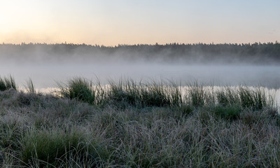 Scenic view from swamp , morning landscape with fog over a small forest lake and swamp  at autumn morning, frost, beautiful reflections, Driskina lake, Raiskums parish, Latvia