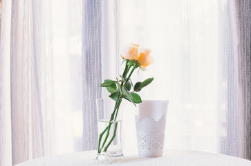 orange rose on glass with water on white cover on center