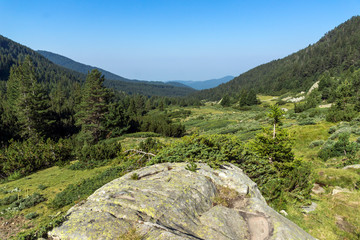 Landscape of Begovitsa River Valley, Pirin Mountain, Bulgaria