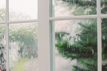 window inside on side view with raining outside and blue tree for background