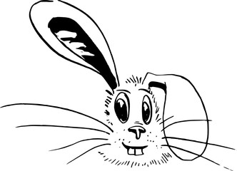 Black ink illustration - funny rabbit - comic style drawing