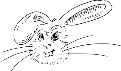Black ink illustration - funny rabbit - comic style drawing