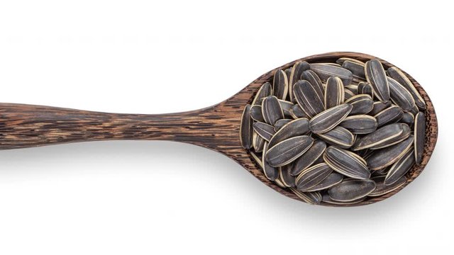 panning sunflower seeds in wood spoon isolated on white background. top view