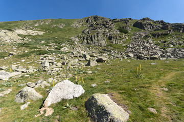 Landscape of Begovitsa River Valley, Pirin Mountain, Bulgaria