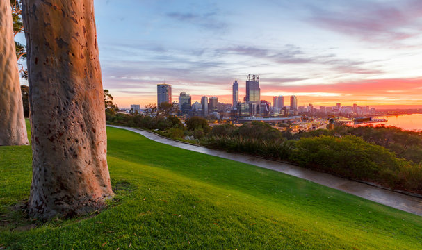 Perth Western Australia Cityscape from Kings Park