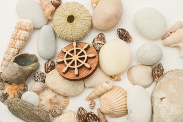 Fototapeta na wymiar seashells and pebbles on a white background