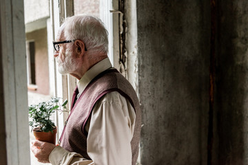 retired bearded man in glasses holding plant near window