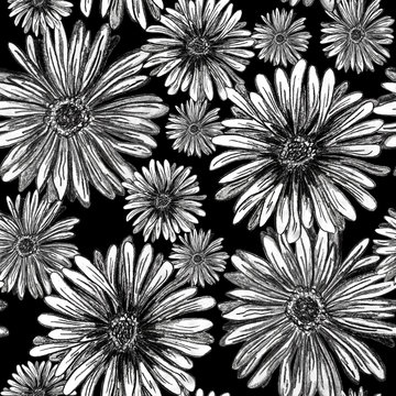 Big gerbera flowers graphic hand drawn - seamless pattern with blossom on black background