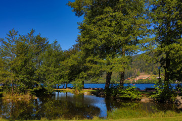 Fototapeta premium the Gerardmer lake in France