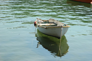 un oiseau sur un bateau