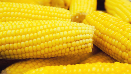 Fresh boiled yellow corn in the street market. Food to go. Tasty take away snack suitable for vegeterians and vegans