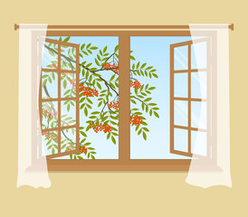 Rowan branch outside the window. Orange berries with green leaves. Open window with curtains on a beige background. Vector illustration