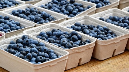 Fresh blueberries in cardboard boxes. Juicy blue berries for sale in bio recycled paper boxes. Healthy, organic food. Panoramic shot