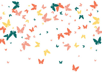 Fototapeta na wymiar Festive colorful butterfly confetti background. Frame vector pattern texture for holiday, postcard, poster, website, carnival, banner, birthday and children's parties. Butterfly summer cover mock-up. 