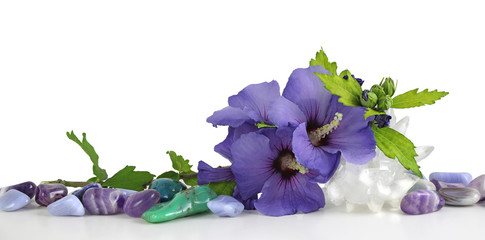 Hibiscus flowers and tumbled healing stones - a row of various healing crystals with a large...
