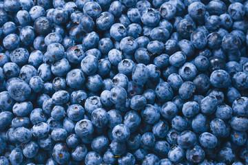 Fresh blueberry background. Texture blueberry berries close up.