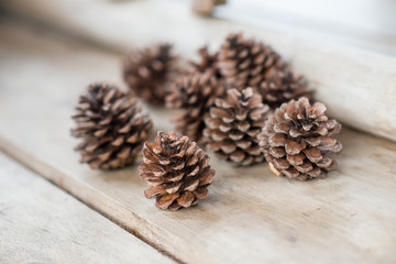 pine cone  on wooden background and copy space for your design