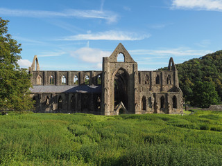 Fototapeta na wymiar Tintern Abbey (Abaty Tyndyrn) in Tintern