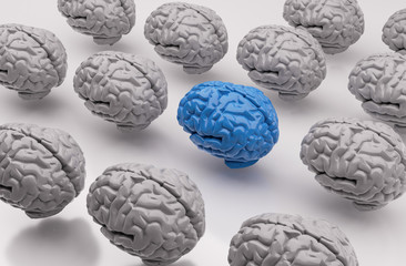 Gehirn - Konzept Wissen, Intelligenz oder Erfahrung