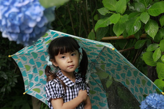 傘をさす幼児(4歳児)とあじさい