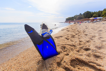 fins on the sand beach 