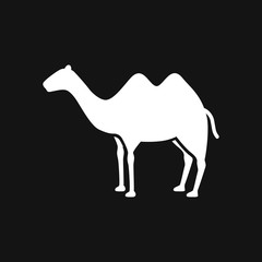 Camel icon. Vector symbol African animal for web and design.