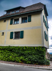 ancient architecture building with ivy